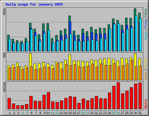 Daily usage for January 2025
