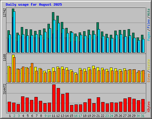 Daily usage for August 2025