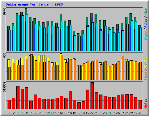Daily usage for January 2026