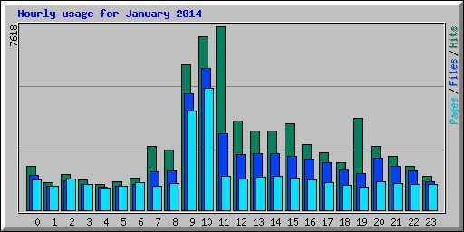 Hourly usage for January 2014