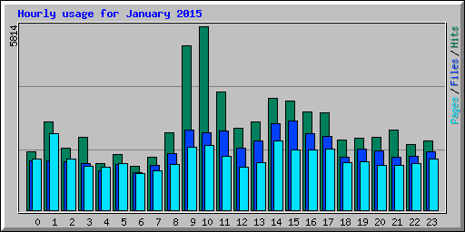 Hourly usage for January 2015