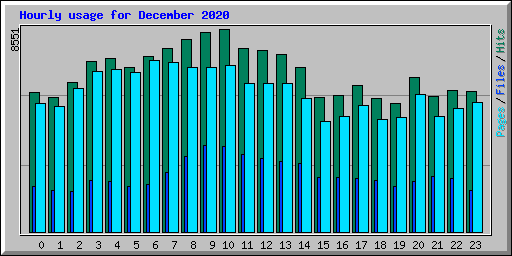 Hourly usage for December 2020