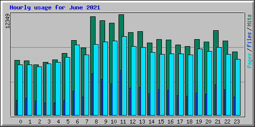 Hourly usage for June 2021