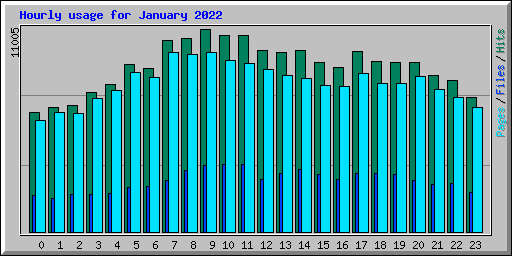 Hourly usage for January 2022
