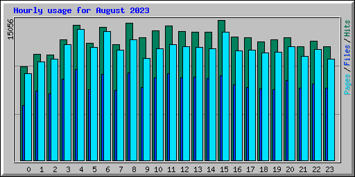 Hourly usage for August 2023