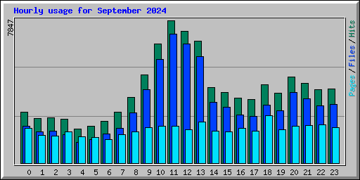 Hourly usage for September 2024