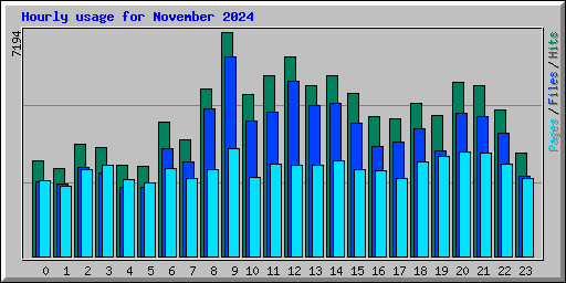 Hourly usage for November 2024