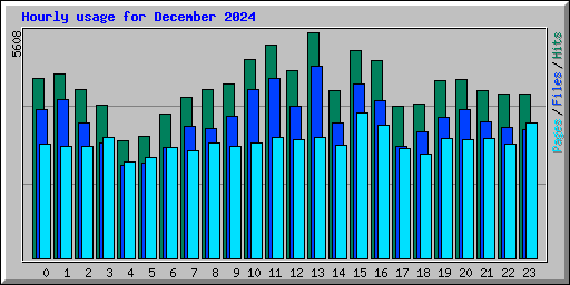 Hourly usage for December 2024