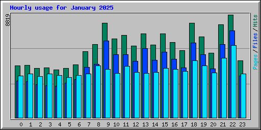 Hourly usage for January 2025