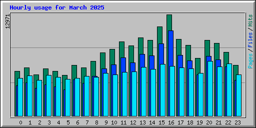 Hourly usage for March 2025