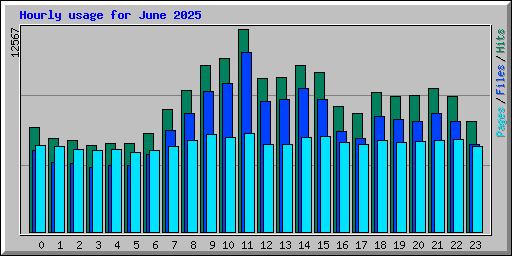 Hourly usage for June 2025