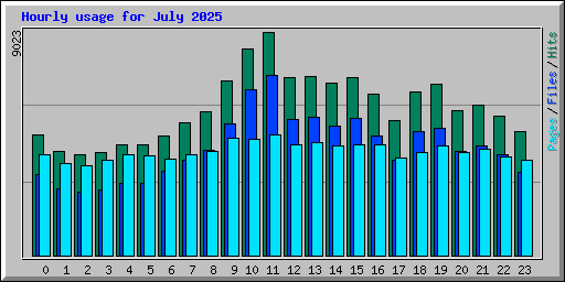 Hourly usage for July 2025