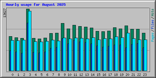 Hourly usage for August 2025