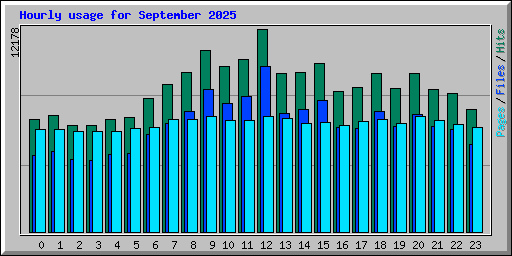 Hourly usage for September 2025