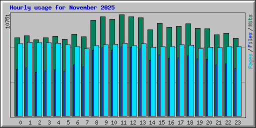 Hourly usage for November 2025