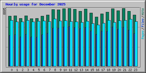 Hourly usage for December 2025