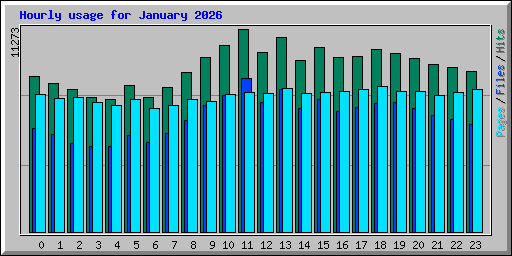 Hourly usage for January 2026