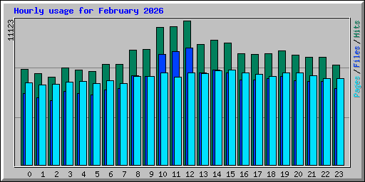 Hourly usage for February 2026